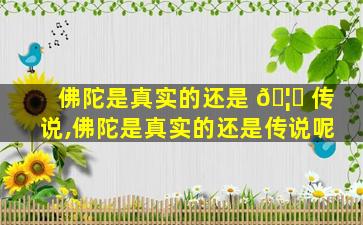 佛陀是真实的还是 🦋 传说,佛陀是真实的还是传说呢